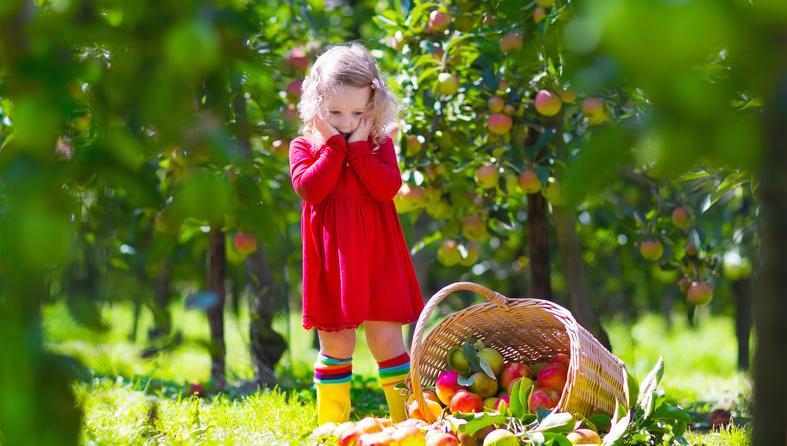 djevojčica jesen jabuke
