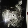 Avatar Tockica_1906