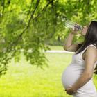 trudnica trudnoća voda