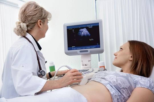 trudnica, ultrazvuk