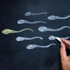 sperma spermiji