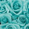 Avatar Rose08