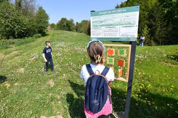 Poučno - pješačku stazu osmislili su i u izradi sudjelovali učenici Osnovne skole Tužno