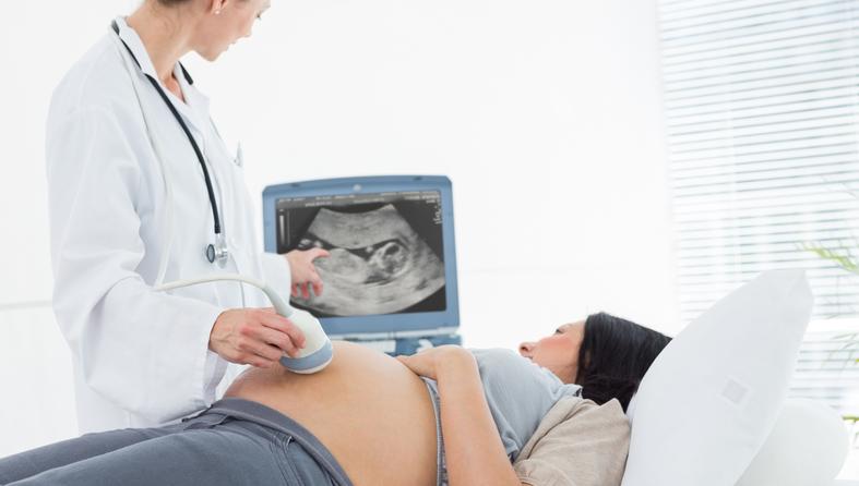 trudnica, ultrazvuk