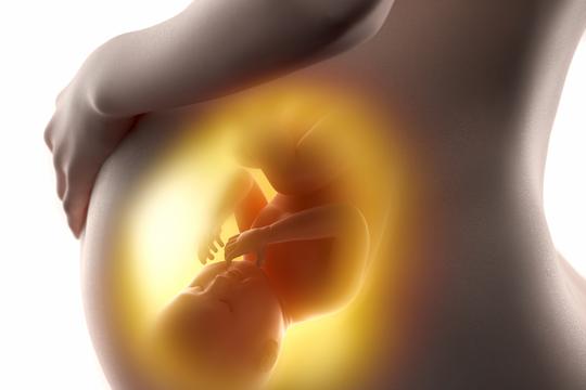 trudnica beba u trbuhu