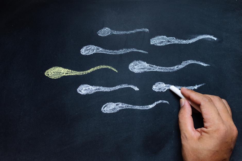 sperma spermiji | Author: Shutterstock
