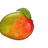 Avatar Mango