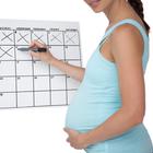 trudnica trbuh kalendar