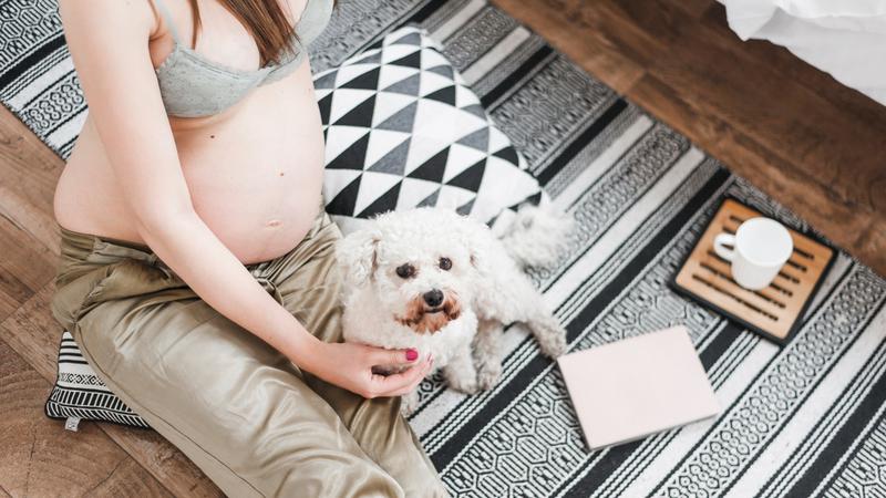 Pripremi svog psa na bebu koja sti&zcaron;e &ndash; puno prije nego stigne