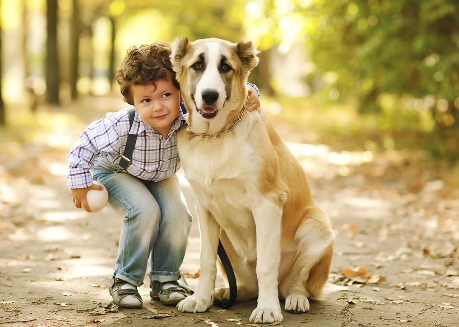 pas, dječak, kućni ljubimci | Author: Thinkstock