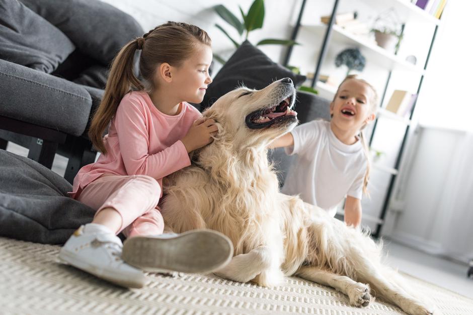Nabolji psi za djecu | Author: Shutterstock