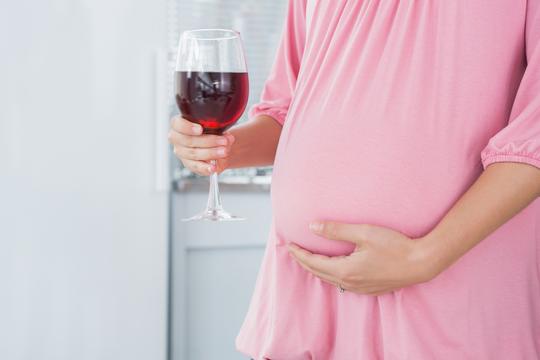 trudnica alkohol