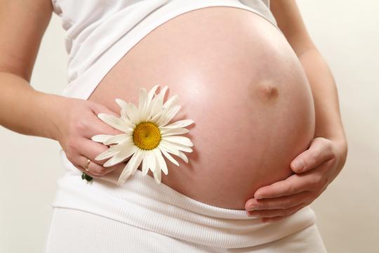 Trudnoća trudnica trbuh