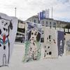 Šibenik: Najveća svjetska izložba na temu dalmatinskog psa