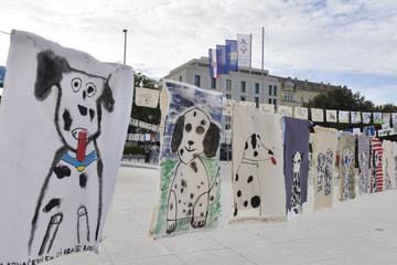 Šibenik: Najveća svjetska izložba na temu dalmatinskog psa