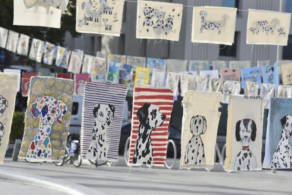 Šibenik: Najveća svjetska izložba na temu dalmatinskog psa | Author: Hrvoje Jelavic/PIXSELL