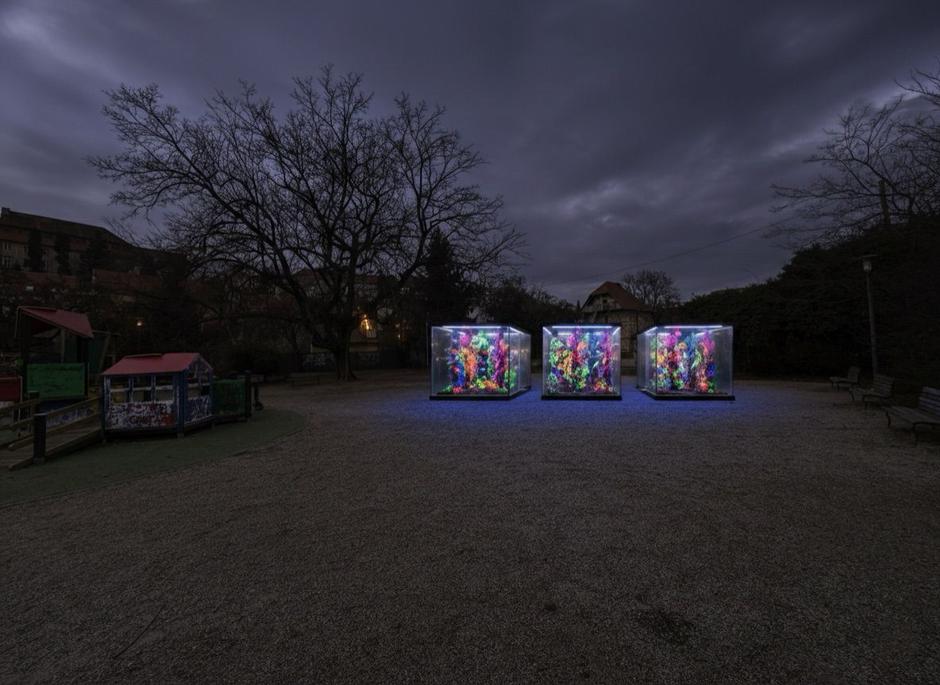  | Author: Festival svjetla