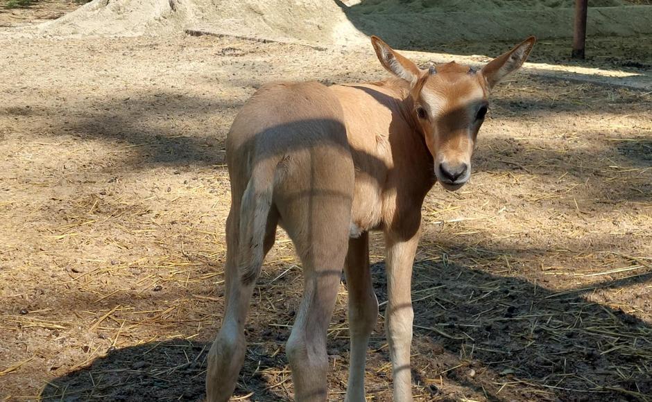  | Author: ZOO Zagreb