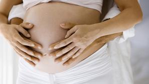 trudnica trbuh 
