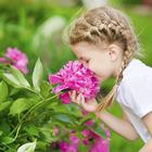 dijete djevojčica cvijeće