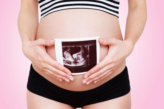 trudnica ultrazvuk trudnoća