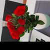 Avatar ruza92