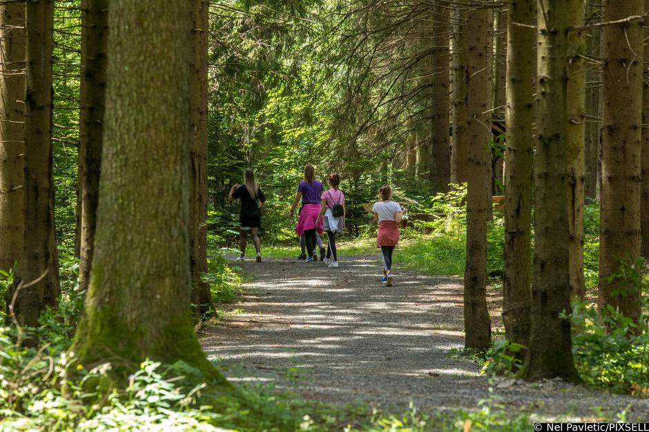 Osvježenje u park šumi Golubinjak | Author: Nel Pavletic/PIXSELL