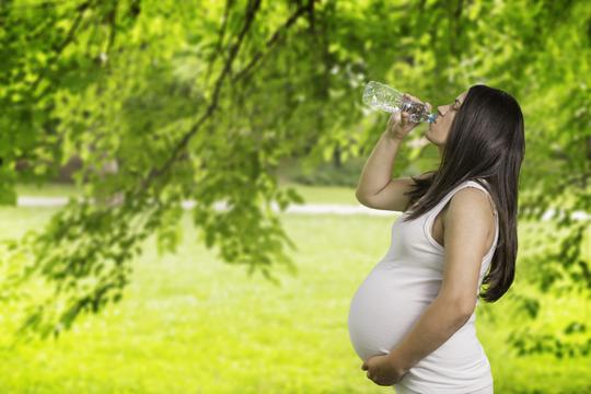 trudnica trudnoća voda