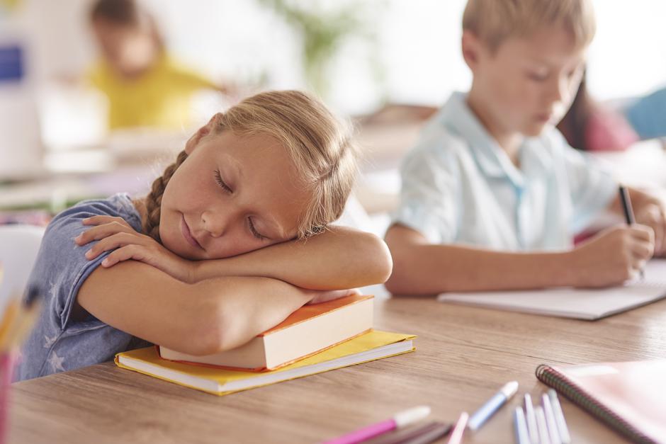 škola, spavanje, učenik | Author: Thinkstock