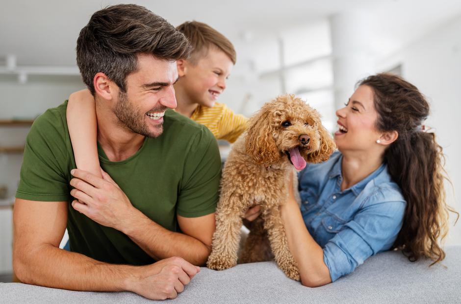 Obiteljski pas | Author: Shutterstock