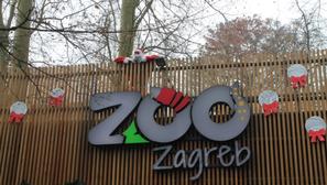 advent zoo