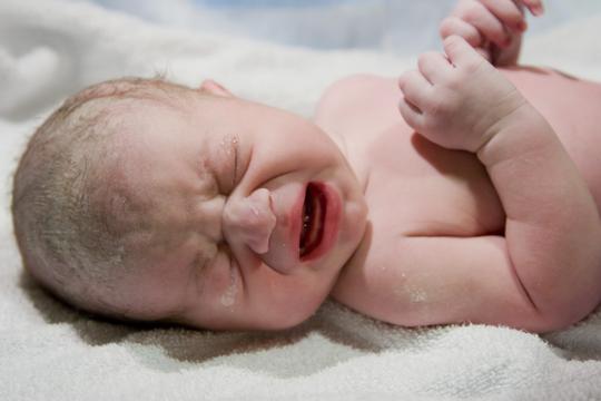 Beba novorođenče porod