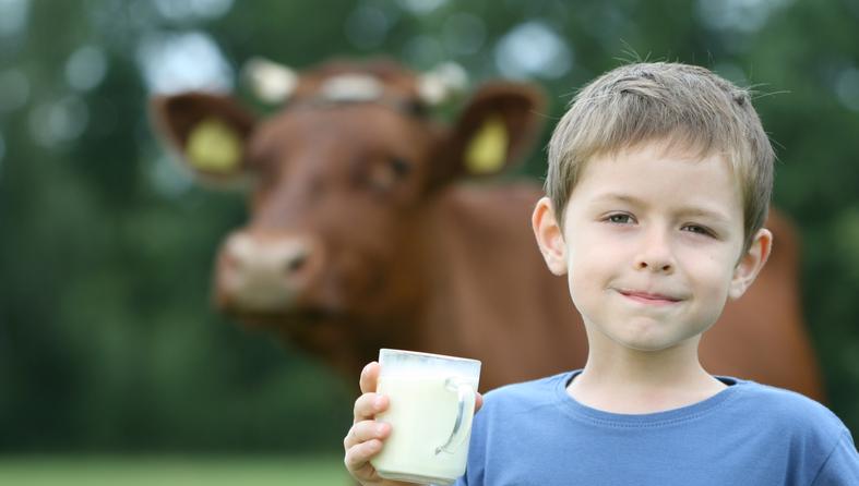 mlijeko, dječak, krava