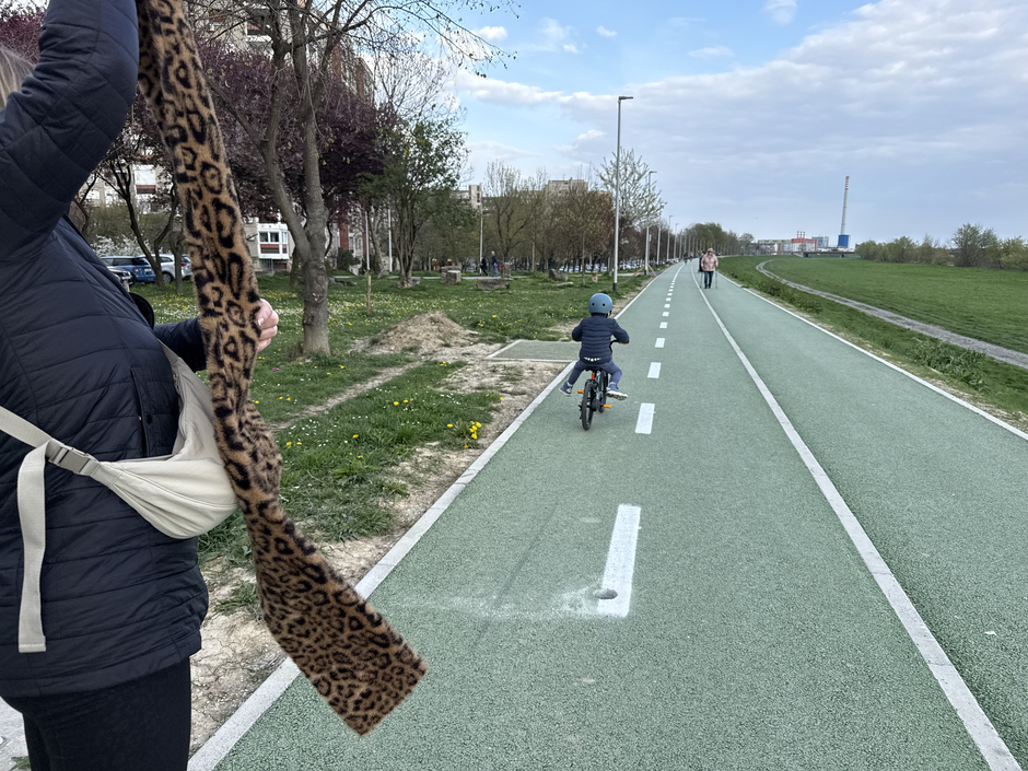  | Author: Privatni album