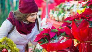 Feed/24Sata-Lifestyle/2023-49/Untitled-Design-44.Jpg