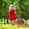 djevojčica jesen jabuke