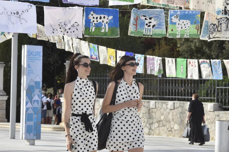 Šibenik: Najveća svjetska izložba na temu dalmatinskog psa | Author: Hrvoje Jelavic/PIXSELL