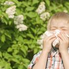 Dijete i alergija