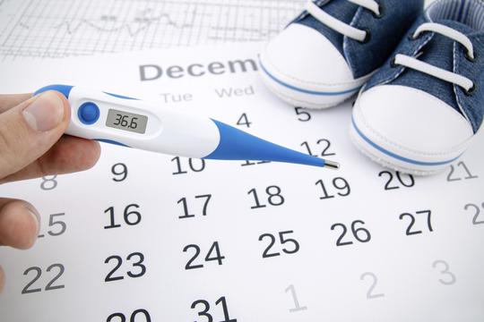 kalendar, ovulacija