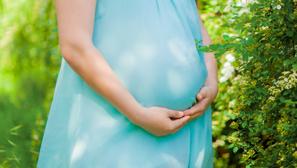trudnica trudnički trbuh trudnoća