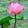 Avatar lotus92