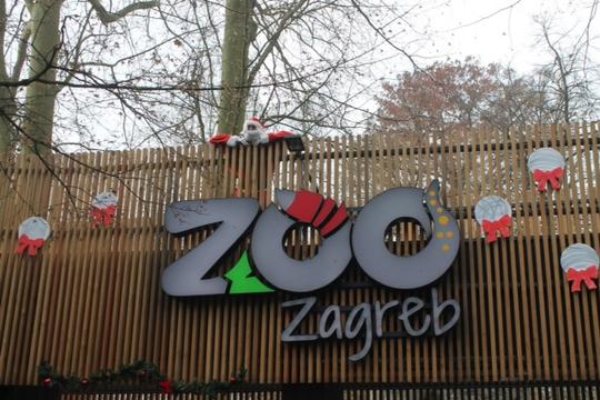 advent zoo
