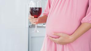 trudnica alkohol