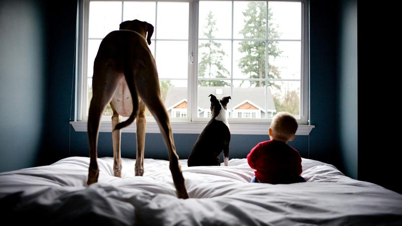 6 znanstveno dokazanih na&ccaron;ina na koje ku&cacute;ni ljubimci poma&zcaron;u djeci u &zcaron;ivotu