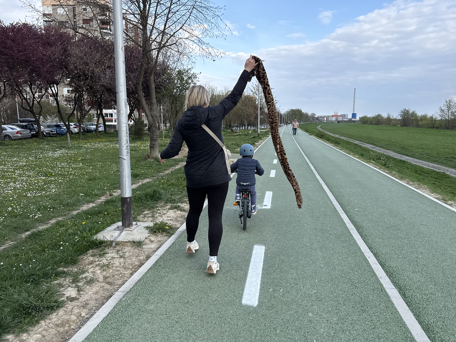  | Author: Privatni album