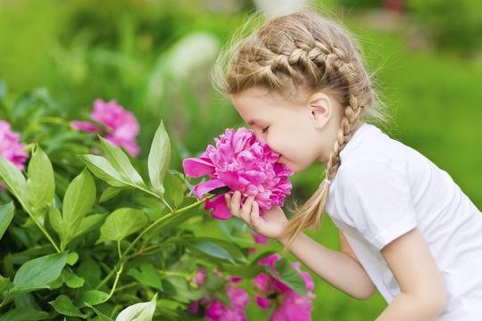 dijete djevojčica cvijeće