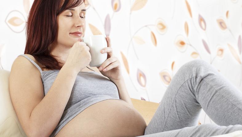 kava trudnoća trudnica