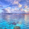 Avatar TinT