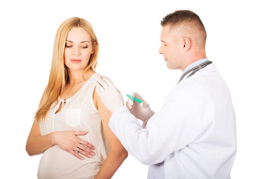 cjepivo trudnica