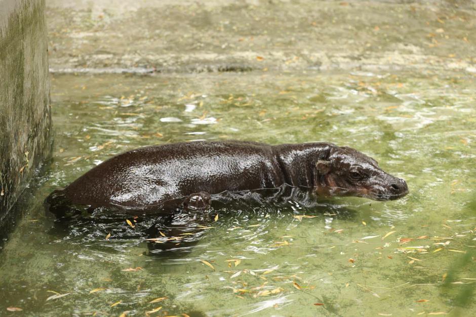  | Author: ZOO Zagreb